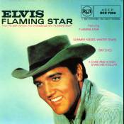 EP The EP Collection Vol 2  08 Flaming Star RCA UK  RCX 7205