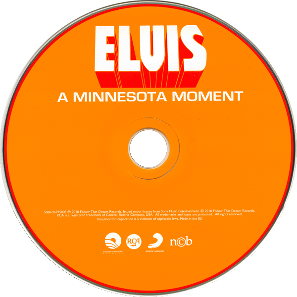 CD A Minnesota Moment FTD 506020-975008