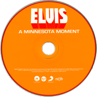  CD A Minnesota Moment FTD 506020-975008
