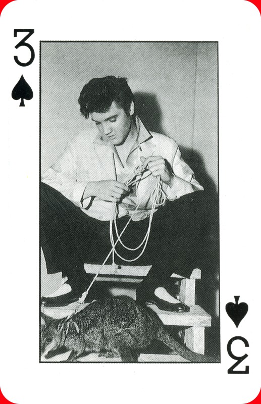 three of Spades