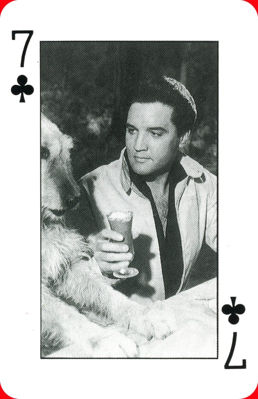 Seven of Clubs