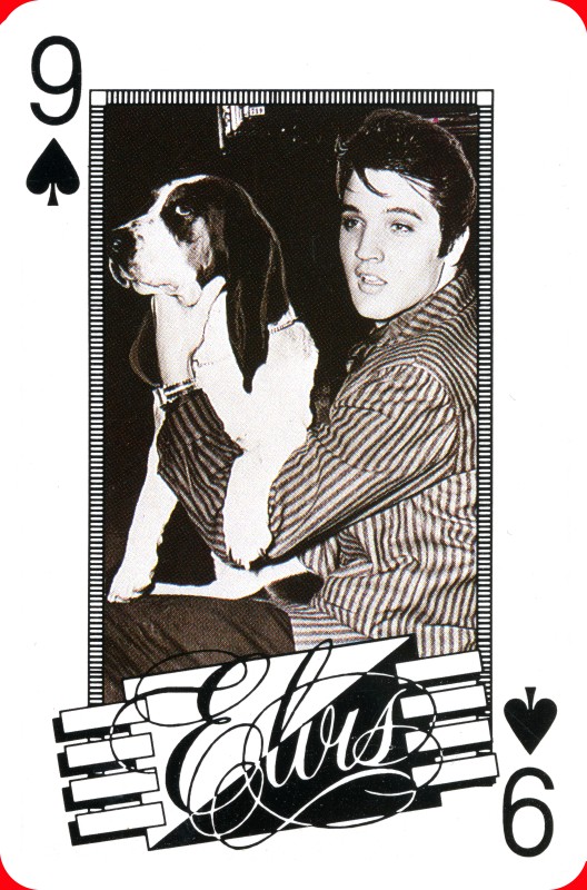 nine of Spades