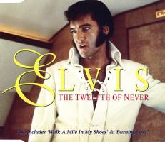 CD Maxi  The Twelfth Of Never RCA BMG 74321 32012-2