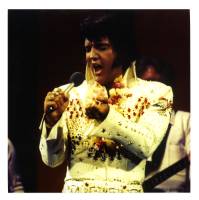 CD Elvis (The Fool album)  FTD 506020-975018