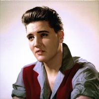 CD The Elvis Is Back! Sessions FTD 506020-975139