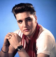 CD The Elvis Is Back! Sessions FTD 506020-975139