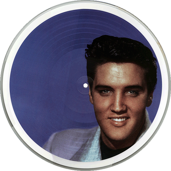 LP  Elvis Sings The Mad Professor VPI 783233