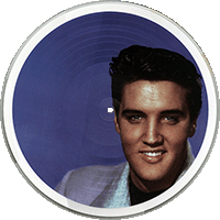 LP Elvis Sings The Mad Professor VPI 783233