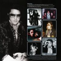 LP Elvis Back In Nashville  RCA Legacy 1943 9883881