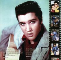 LP CD Loving You  The Alternative Album Pack Collector  Big Beat Records BBR 2-00055-1