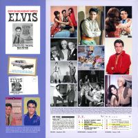 LP Harem Holiday FTD 506020 975198