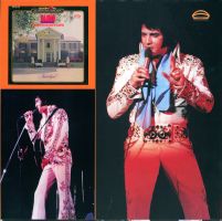LP From Elvis Recorded Live In Memphis 1974 MRS MRV10160374